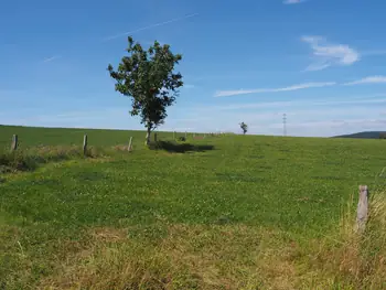 Beausaint (La Roche-en-Ardenne, Belgium)